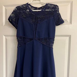 EXPRESS Lace Sheath Dress in Navy